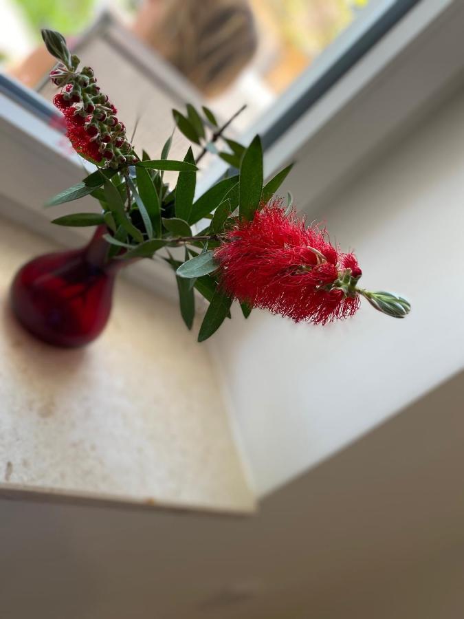 Napjacu With Own Parking And Garden Apartment Херцег Нови Екстериор снимка
